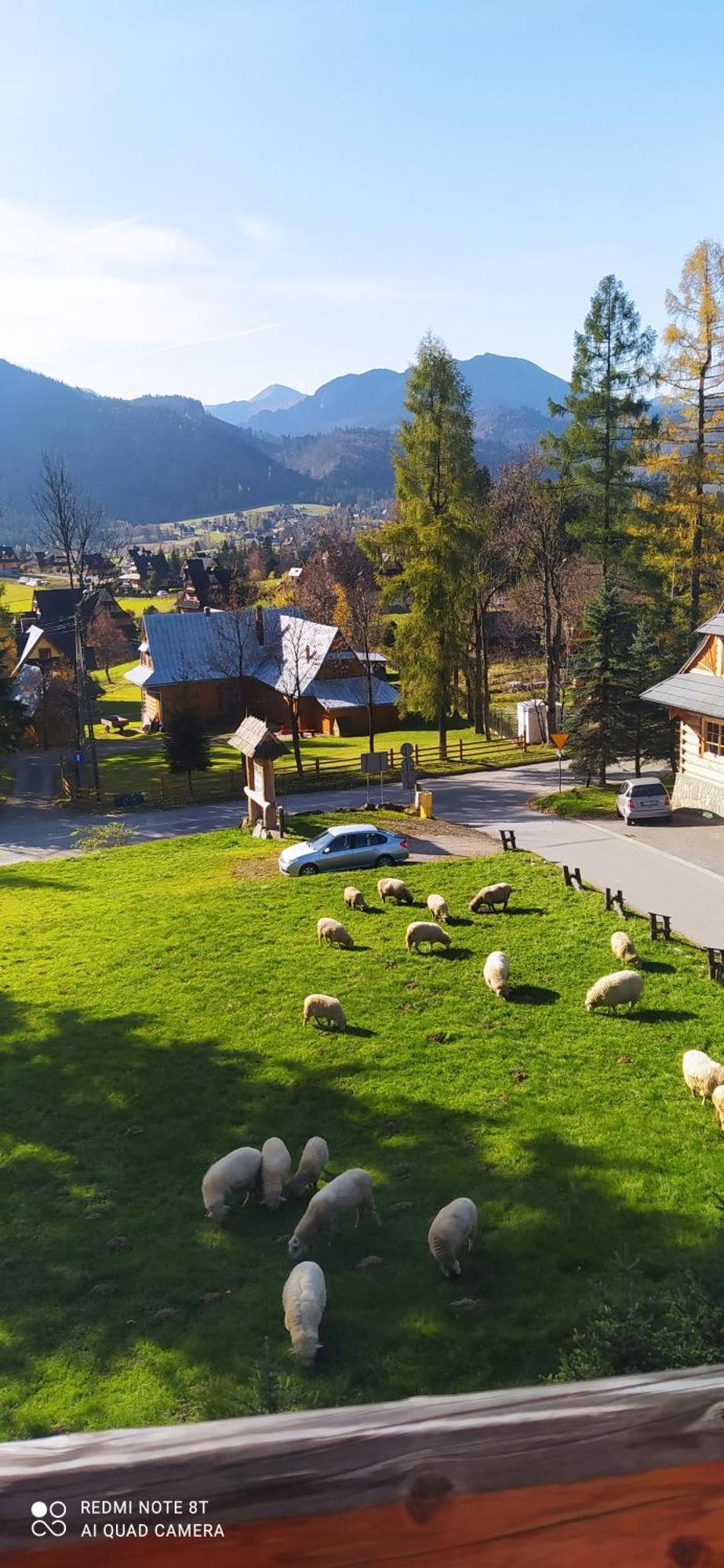 Sopalowka Homestay Koscielisko