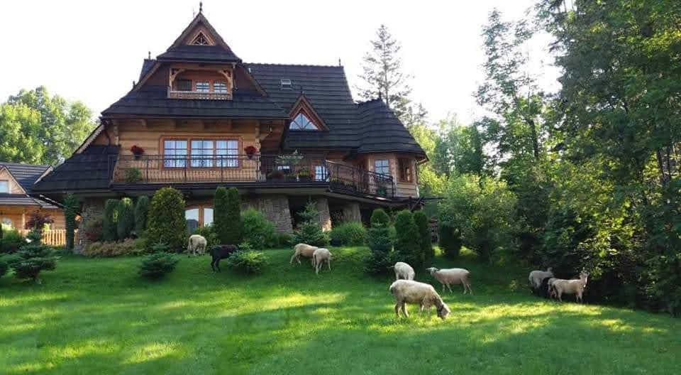 Проживання в сім'ї Sopalowka *